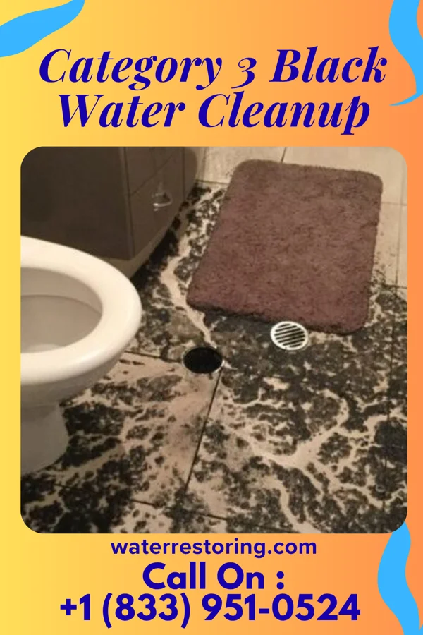Category 3 Black Water Cleanup in Tamms, IL