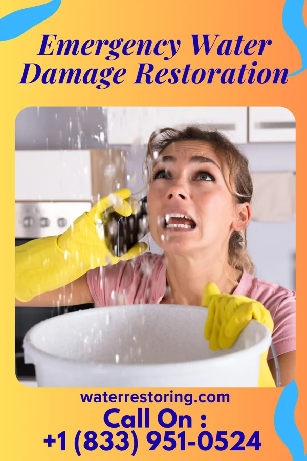Emergency Water Damage Restoration in Tamms, IL