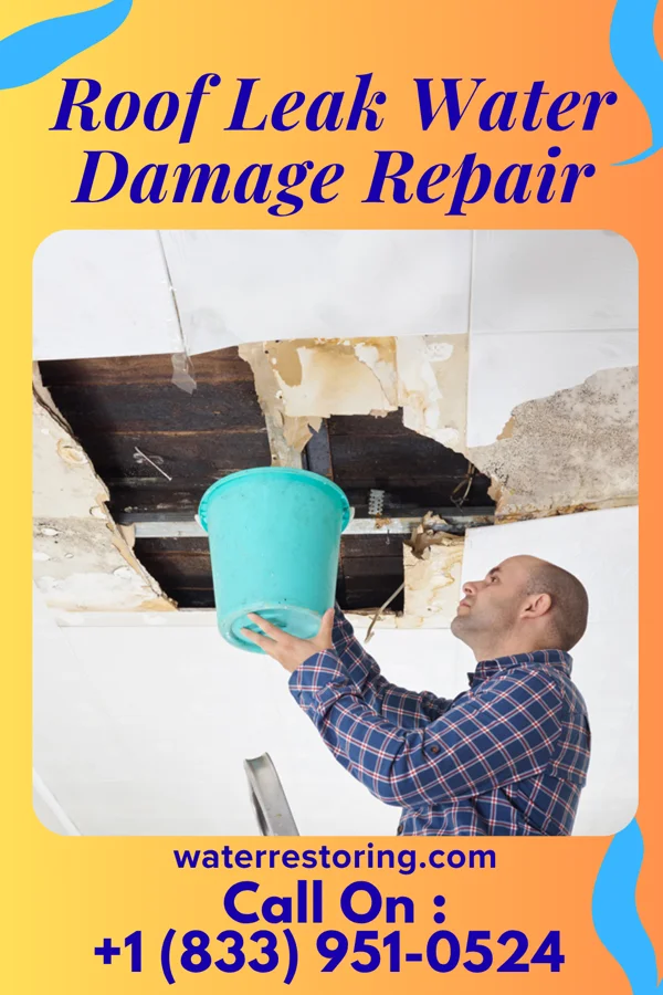 Roof Leak Water Damage Repair in Tamms, IL