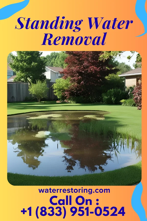 Standing Water Removal in Tamms, IL